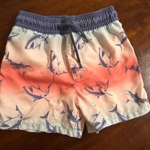 Carters Shark Print Swim Shorts